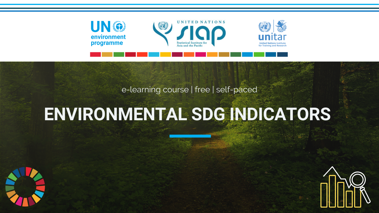 UNEP UNSIAP And UNITAR Massive Open Online Course Environmental SDG 